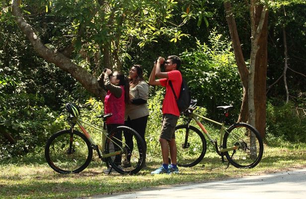 Countryside biking guided tour in Langkawi