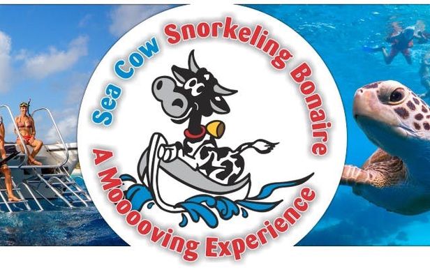 Seacow double dip snorkeling tour in Bonaire
