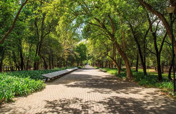 Bike tour of Chapultepec park