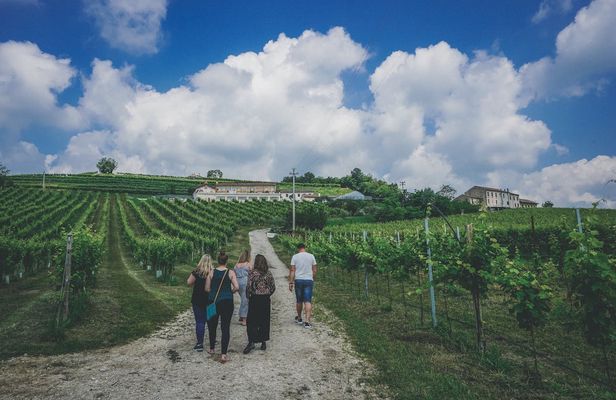 Prosecco wine tour from Venice