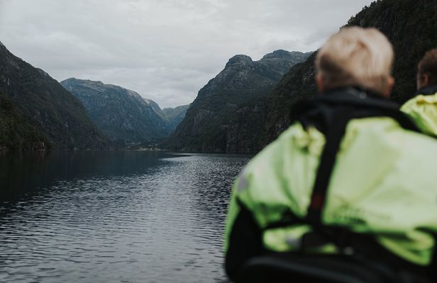 Hardangerfjord and Fyksesund fjord safari from Norheimsund