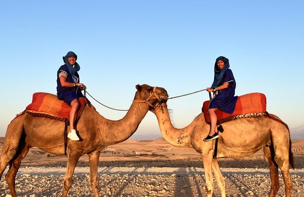 Agafay desert camel ride