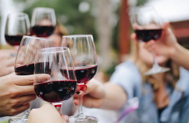 Wine Experience through Chianti Hills from Florence