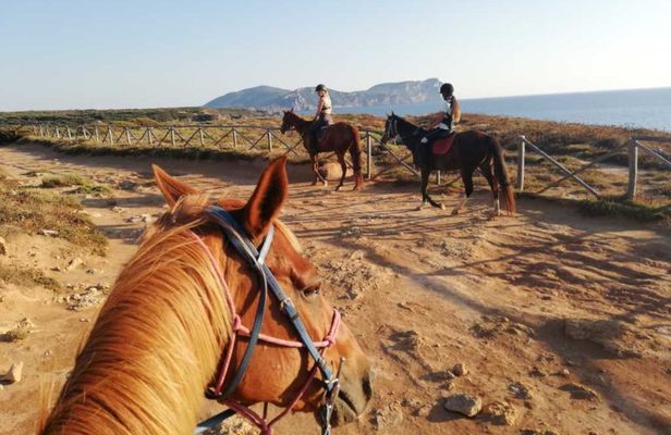 Horseback riding in Porto Ferro and Lake Baratz