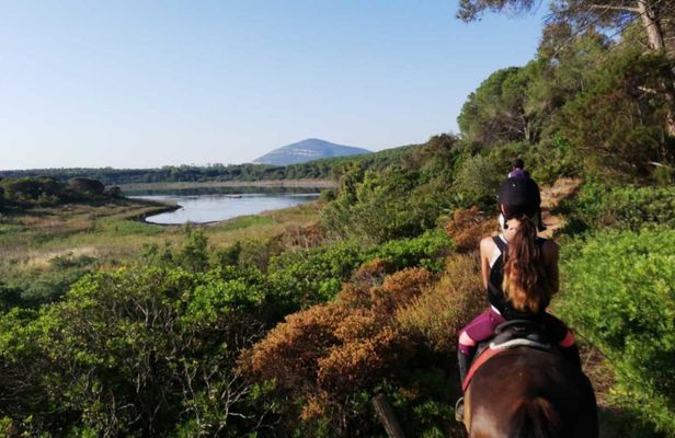 Horseback ride at Baratz Lake