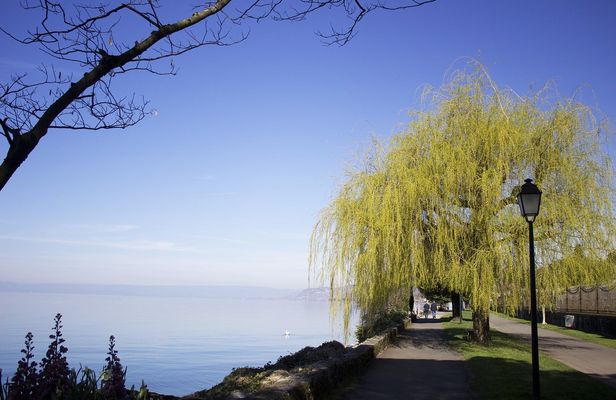 Tour of the instagrammable spots of Montreux with a local