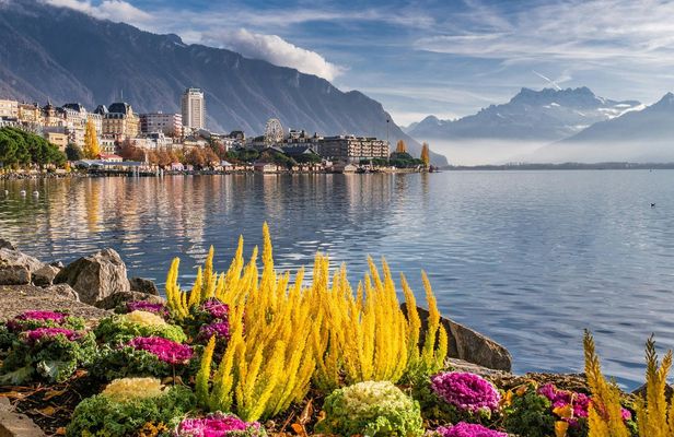 Montreux's most photogenic spots walking tour with a local