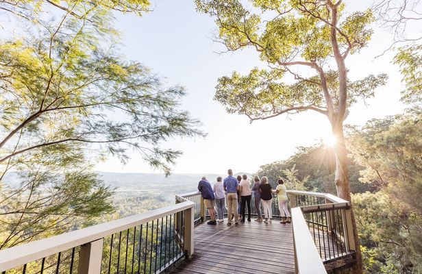Sunshine Coast Culinary Experience, Discover Montville and Maleny