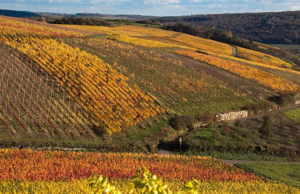 Hiking tour along the Romantic Road in Röttingen and Weikersheim