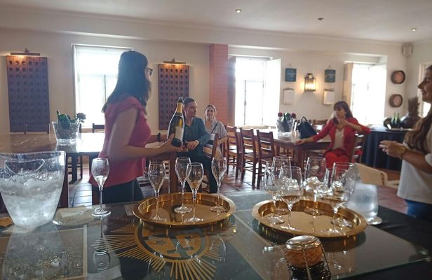 Bairrada wine route experience with wine tasting and lunch