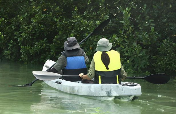 Lebam river kayaking adventure