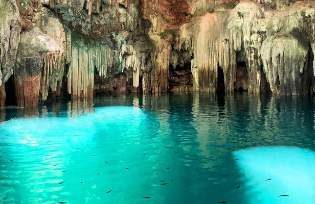 Tsukan Cenote Entrance Ticket with Lunch