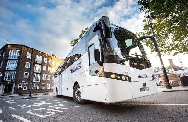London guided tour with optional London Eye