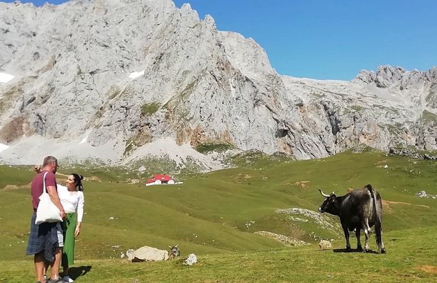 Picos de Europa guided walking tour and spa circuit in La Hermida