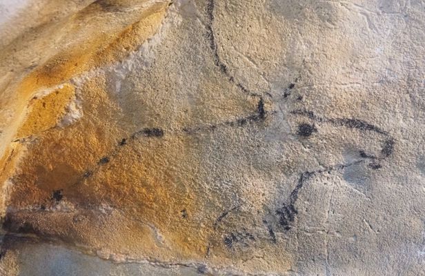 El Castillo caves and Paleolithic art day trip from Santander