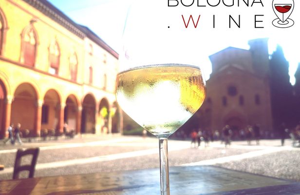Bologna two-hour wine walking tour