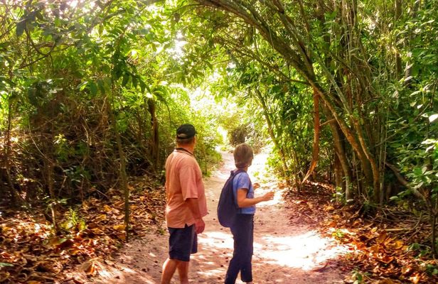 Tijuca Forest and Penhasco Dois Irmãos Park nature eco tour