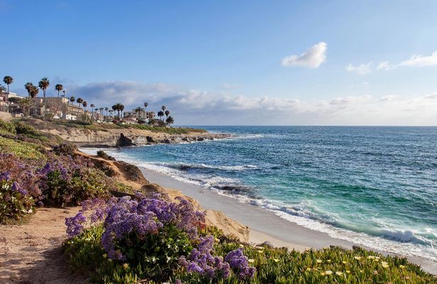 Ultimate La Jolla Self-Guided Combo Tour
