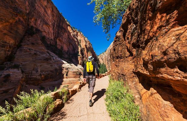 Zion National Park self-driving audio tour
