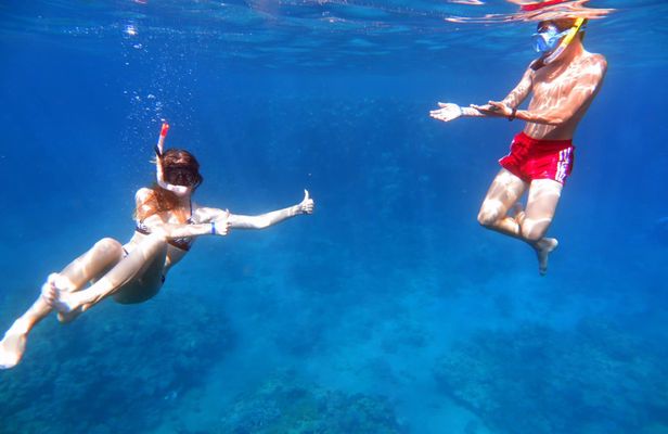 Snorkeling cruise with lunch and drinks from Dahab