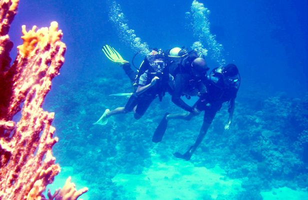 Diving experiences and packages from Dahab