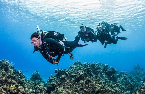 Full day scuba diving for beginners with BBQ lunch in Fujairah