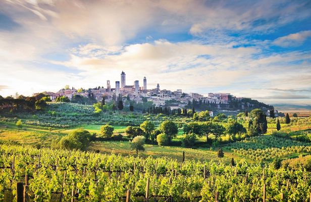 Jewels of Tuscany tour with lunch and wine tasting