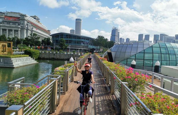 Lion City bike tour in Singapore