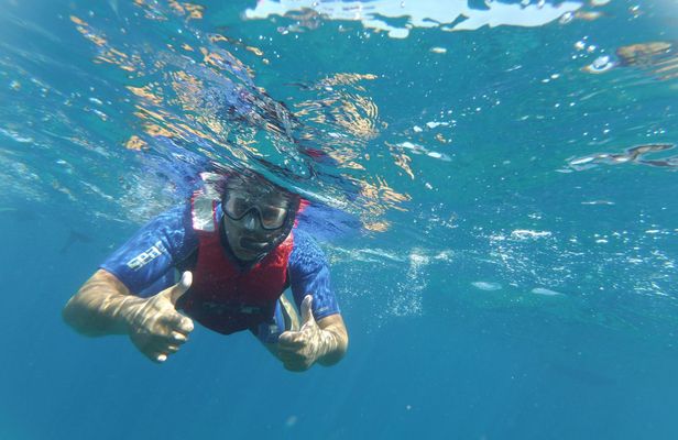 Snorkeling tour in the Bay of Stingrays