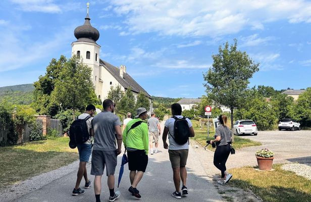 Private Vienna woods wine tour