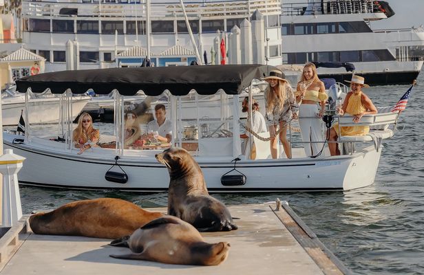 Electric boat sunset cruise