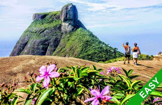 Private guided Tijuca forest express hike