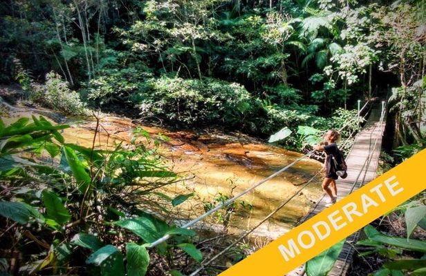 Private guided moderate hike of adventure and history at Tijuca Forest