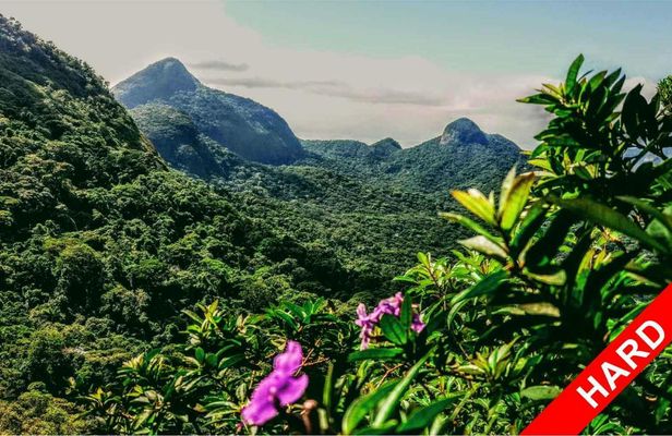 Private guided high level hiking in the Tijuca forest