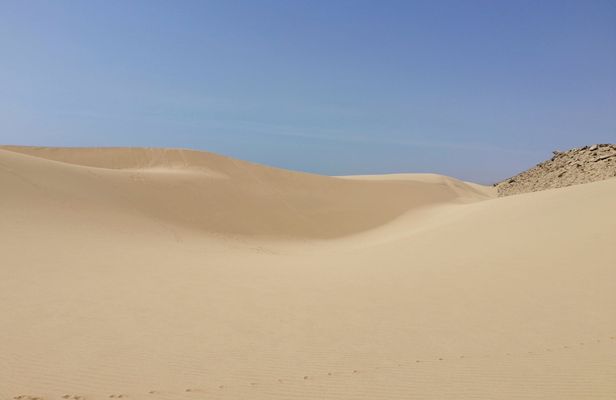 Sahara sand dunes and paradise valley full-day tour from Agadir