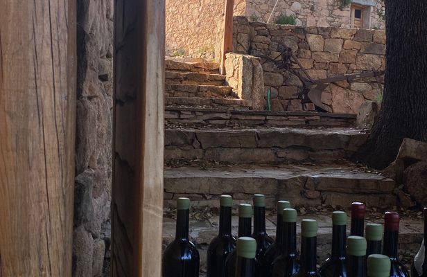 Sardinian pasta workshop and wine experience in an ancient village
