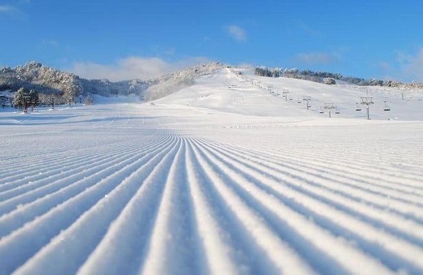 Snow activities half-day tour in Takayama