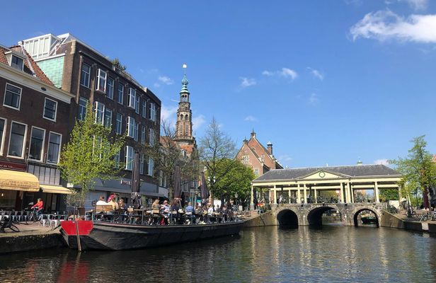 Holland four cities private day-trip