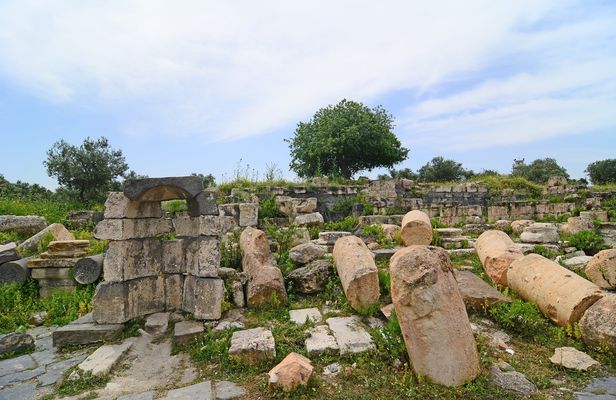 Private North tour to Jerash, Ajloun and Umm Qais