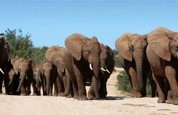 TUI Tours Excursion Package: The world in a beautiful country