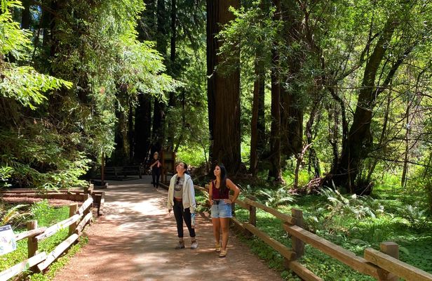 Private Muir Giant Redwoods and Sausalito tour by open top jeep