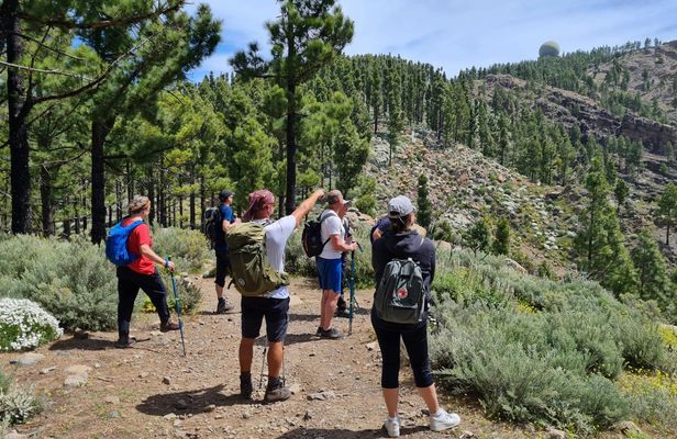 Peaks of Gran Canaria: full-day hiking with pickup and lunch