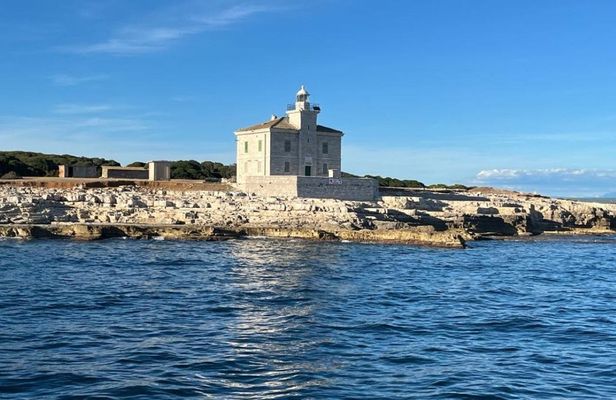 Brijuni National Park swimming and dolphin watching cruise