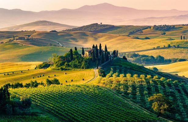 Private day trip to Val d'Orcia
