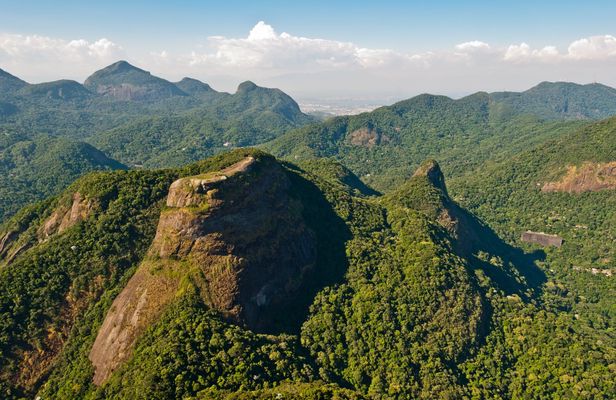 Guided half-day Tijuca forest express hike