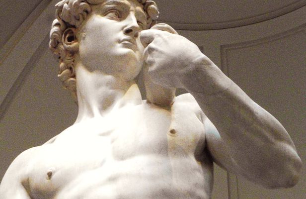 Skip-the-line fixed entrance: Michelangelo's David small group tour