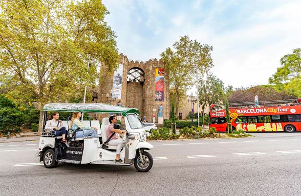 2-hour expert tour of Barcelona in a private electric tuk-tuk