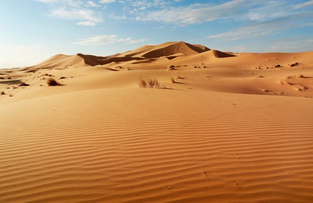 Half-day guided tour to Sahara sand dunes from Agadir