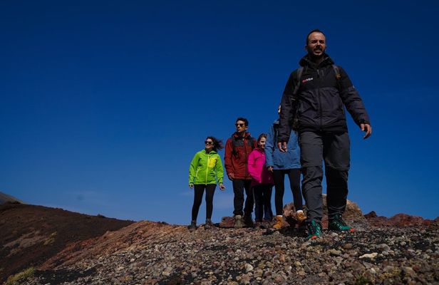 Guided excursion on Etna from Catania with tasting