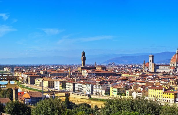 Accademia Gallery and Uffizi Guided Tour with Optional Lunch